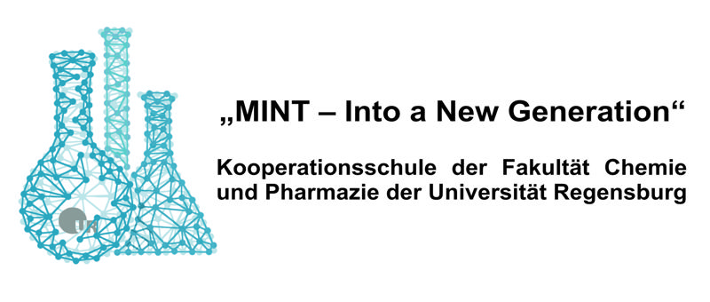 MINT - Into a New Generation